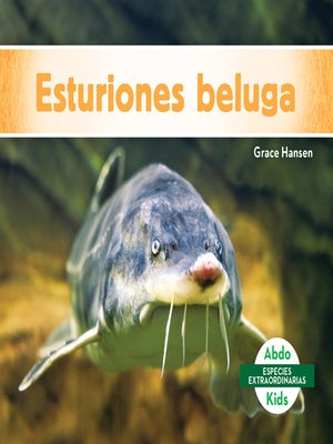 cover image of Esturiones beluga (Beluga Sturgeons)